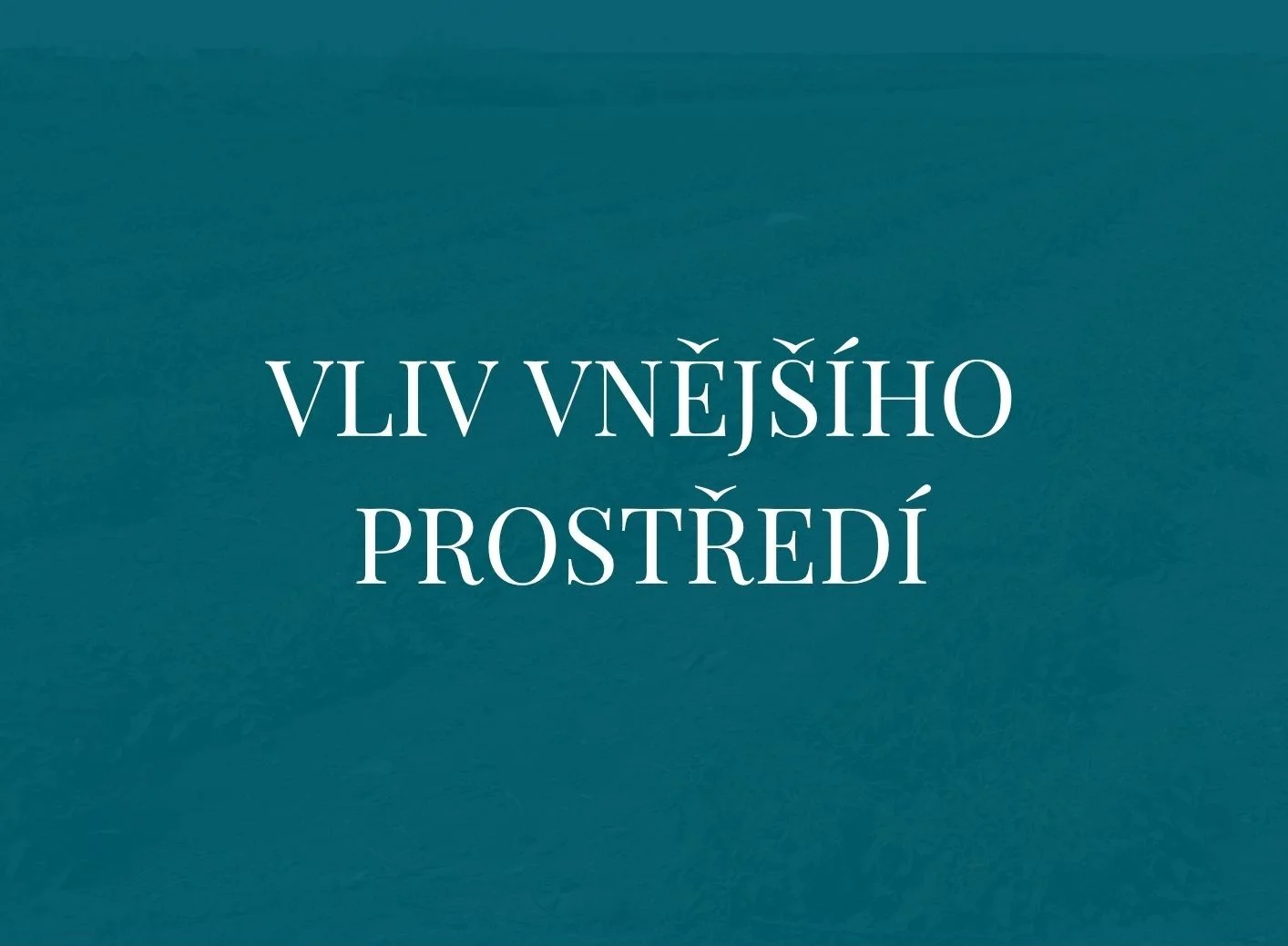 text vliv vnějšího prostředí